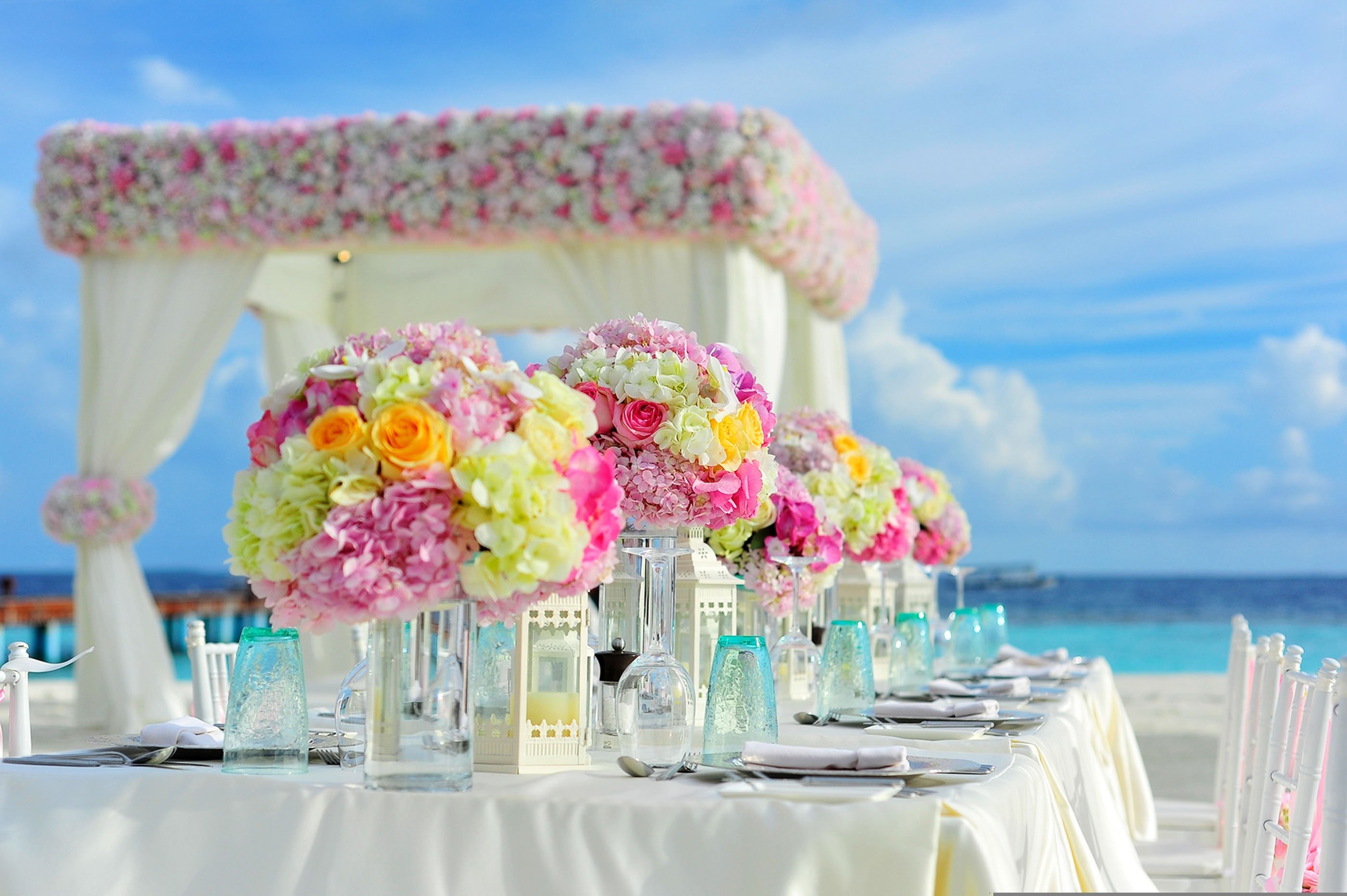 marriage lawn  5